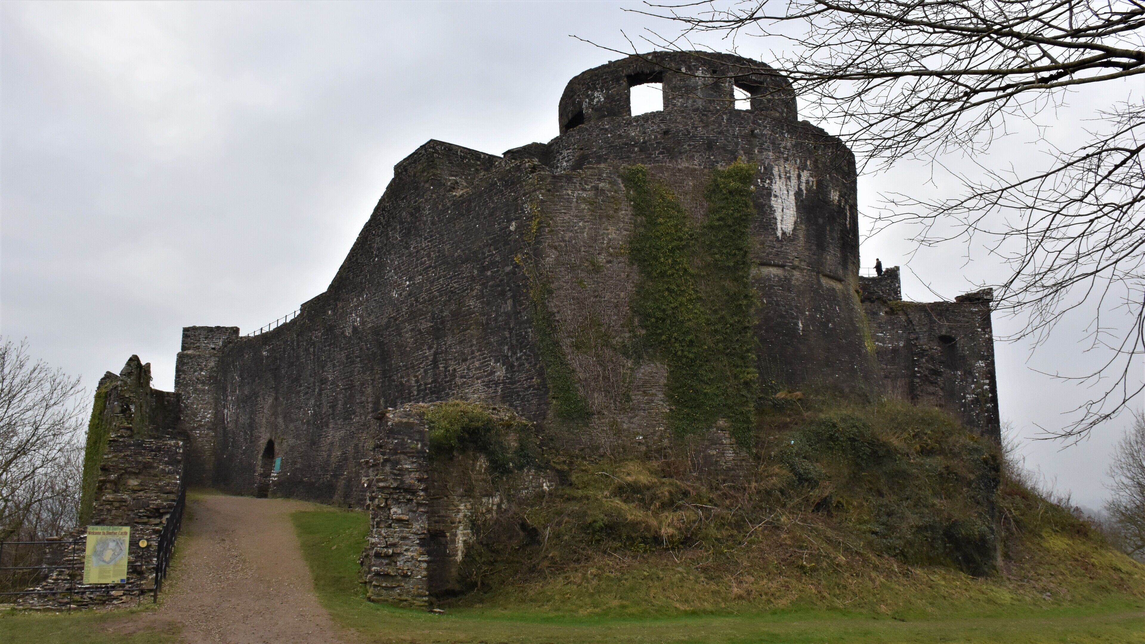#lksawaydays 4b/2020 Continuing to step back in time we travelled the short 5km journey to our 2nd castle as part of our Welsh castle double header at Dinefwr. Dinefwr Castle can be found within the 800 acre National Trust site of Dinefwr Park. Again a relatively small car park for an attraction of this size which includes the castle, Newton House, Deer Park and many wildlife walks including a Boardwalk as well as some of the oldest Oak trees in the UK. The inclusive price of £9.50 per adult was duly paid and we initially made a beeline for the ruins of Dinefwr Castle. The castle is believed to have been constructed under the instructions of Rhodri the Great and then rebuilt in the late 1100's by Rhys ap Gruffydd (Lord Rhys who built Carreg Cennen Castle) The castle has walkways which give superb views of Deer Park to the north and Towy Valley (and River Towy) to the west and south. After visiting the historic Welsh ruins we walked along a number of the trails before ending up at Newton House for a well earned coffee! #lksawaydays gives Dinefwr Castle and park a 👍