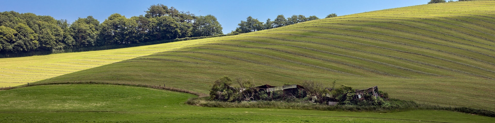 The derelict grandstand on the site of what was Buckfastleigh racecourse in Devon, England. Built in 1950 it fell out of use in 1960.