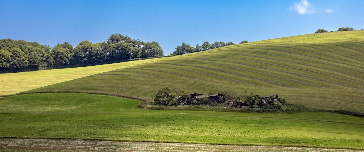 Rolling green hills, a small cluster of trees, and a distant line of trees under a clear blue sky.