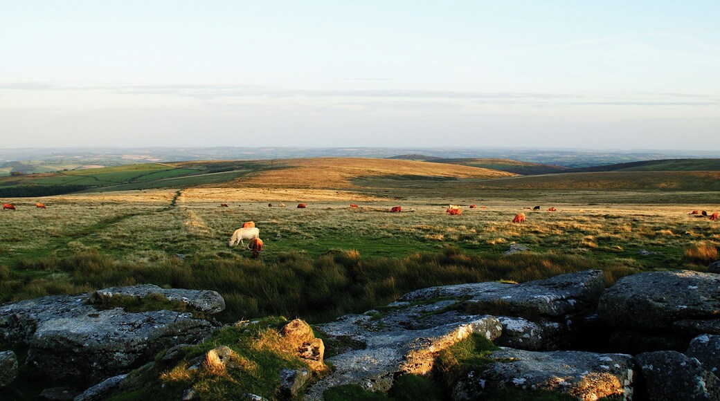 Looking due South from Outer Pupers on the southern edge of en:Dartmoor in Devon, UK. Taken in the last light before sunset giving a sense of scale (and some cows!).