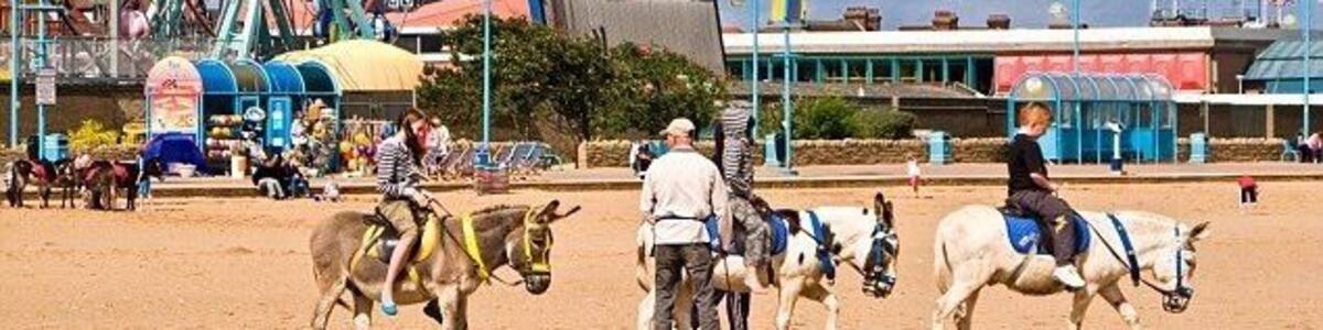 It was really fun , hot and I enjoyed all the ice lollies.