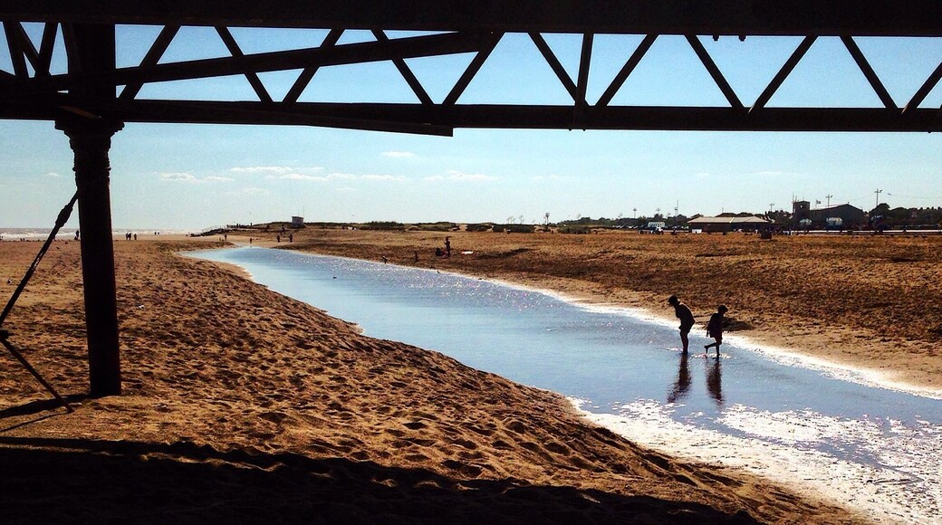 The beach and pier above