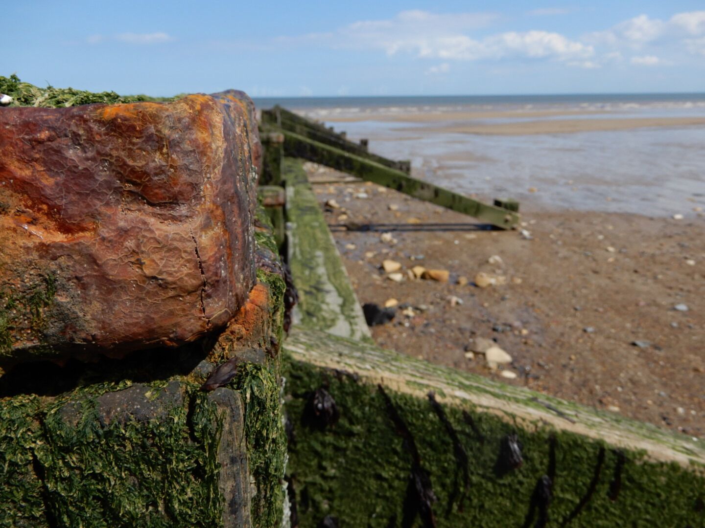 Skegness is not to everyone's taste but here at North Side, it's quieter and more peaceful.