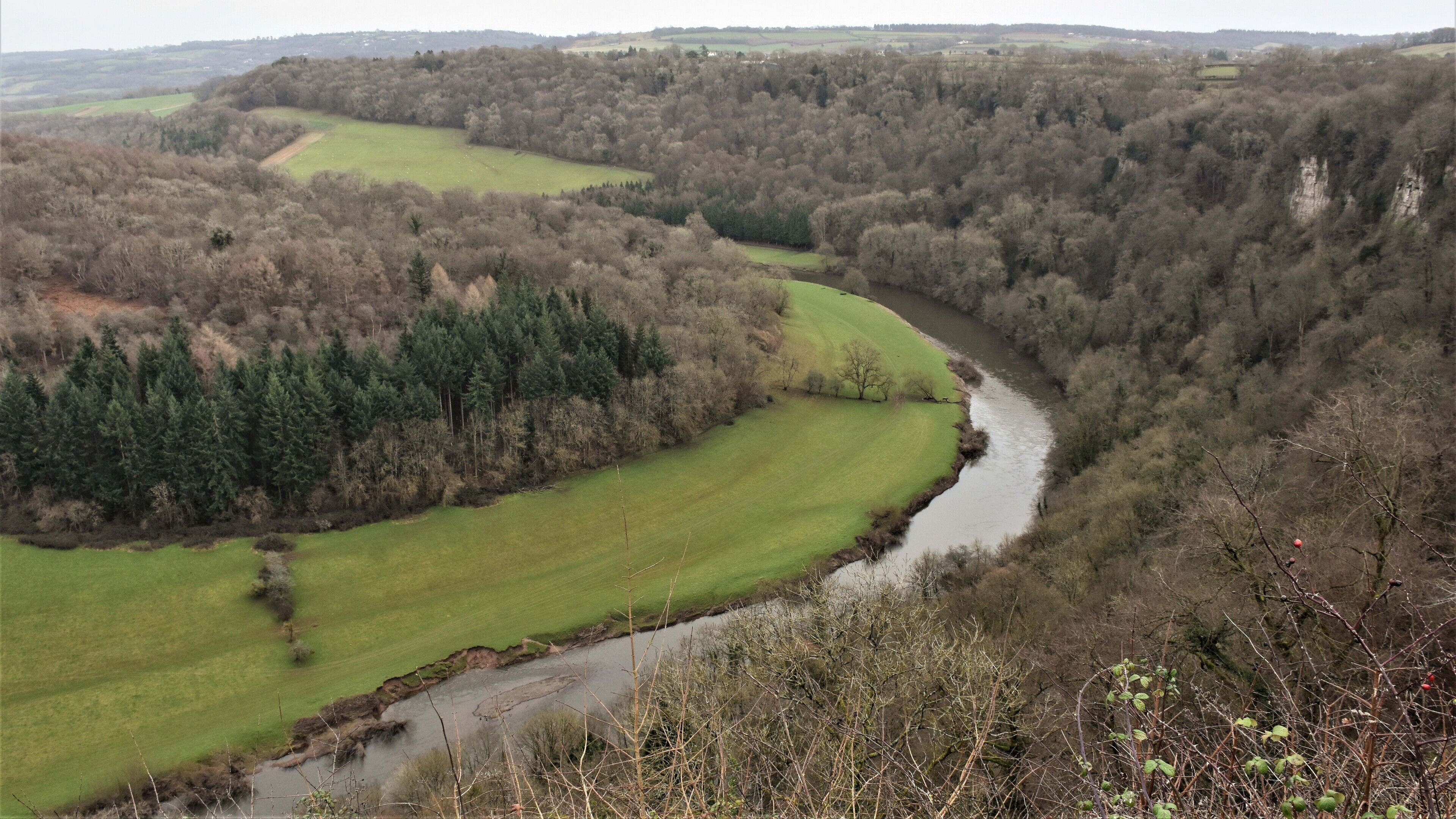 #lksawaydays 5b/2020/ After a stroll around the charming town of Ludlow our plan was to stretch our legs on one of the Symonds Yat Rock Trails. The drive back south took us about an hour and by now the weather had deteriorated but not enough to put us off. After a final sharp right turn we arrived at the large car park set in the woods, the viewpoint and trails are free but there is car park charge, we paid £4.80 for a 5 hour stay. As first time visitors to Symonds Yat we decided to head to the viewpoint first and then tackle one of the trails. Symonds Yat sits inside the Wye Valley in Herefordshire just a stones throw from the Gloucestershire border. Once you reach the viewpoint you will see a truly visual spectacle as the River Wye winds itself through the gorge. It’s definitely worth revisiting on a spring sunny day. Next up was to tackle one of the trails, we opted out of the 17km ramble as today was not that day but worthy of our time later in the year, we settled on the 2.8 mile trial. The other trails look fab and on one you have to use a hand ferry to cross the river! 
#lksawaydays gives Symonds Yat Rock a 👍
Not many pictures taken as the weather was generally bleak so we just enjoyed the walk. 