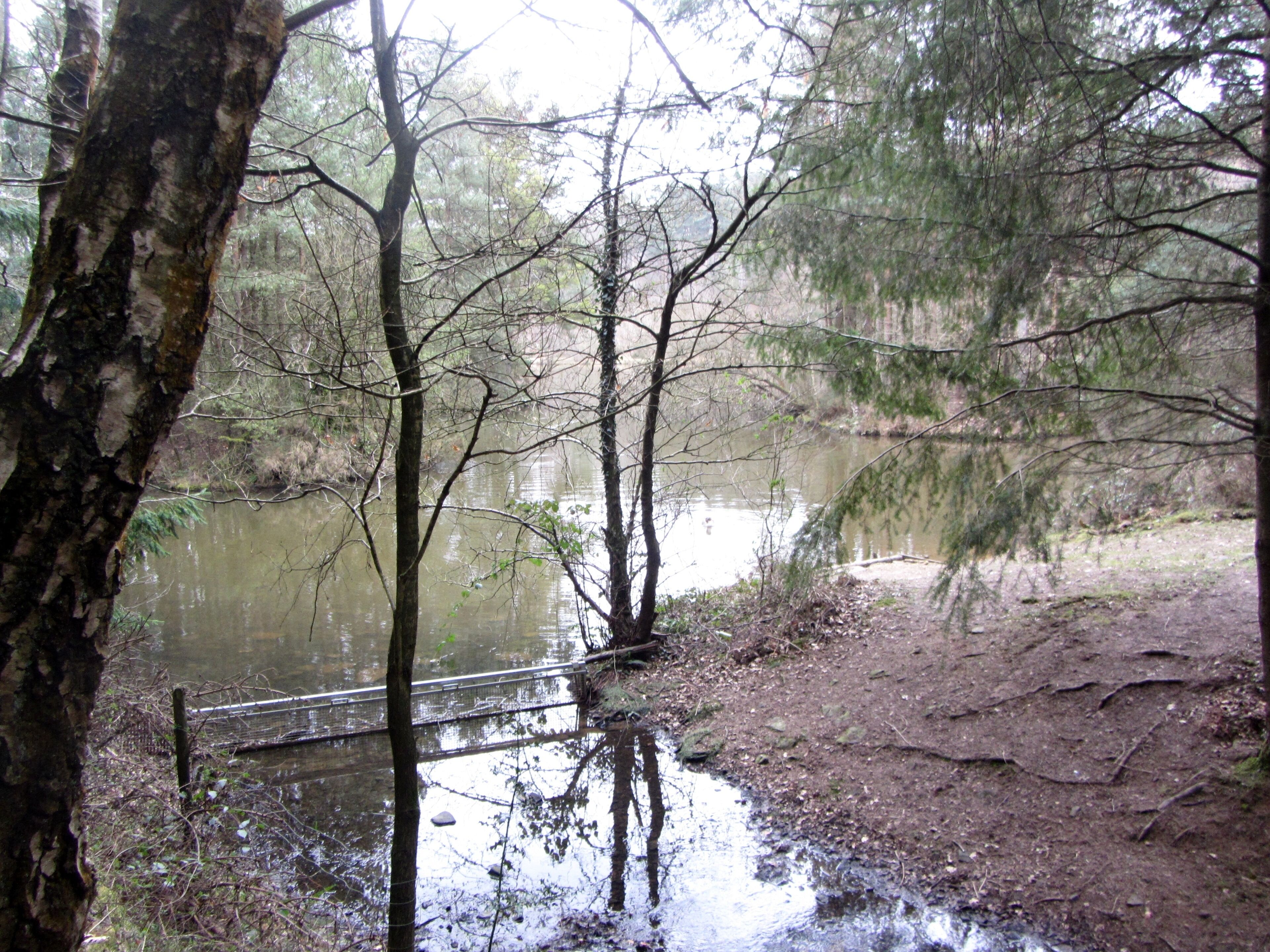 The lake - March 2012