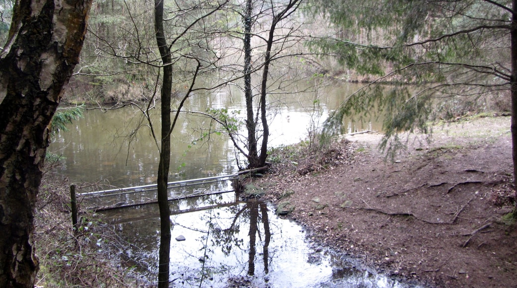 The lake - March 2012