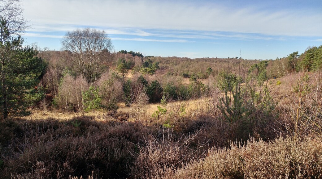 Castle bottom Nature reserve in February 2017