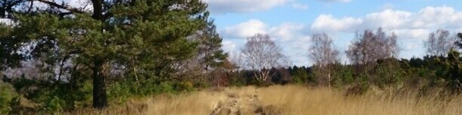 Yateley common