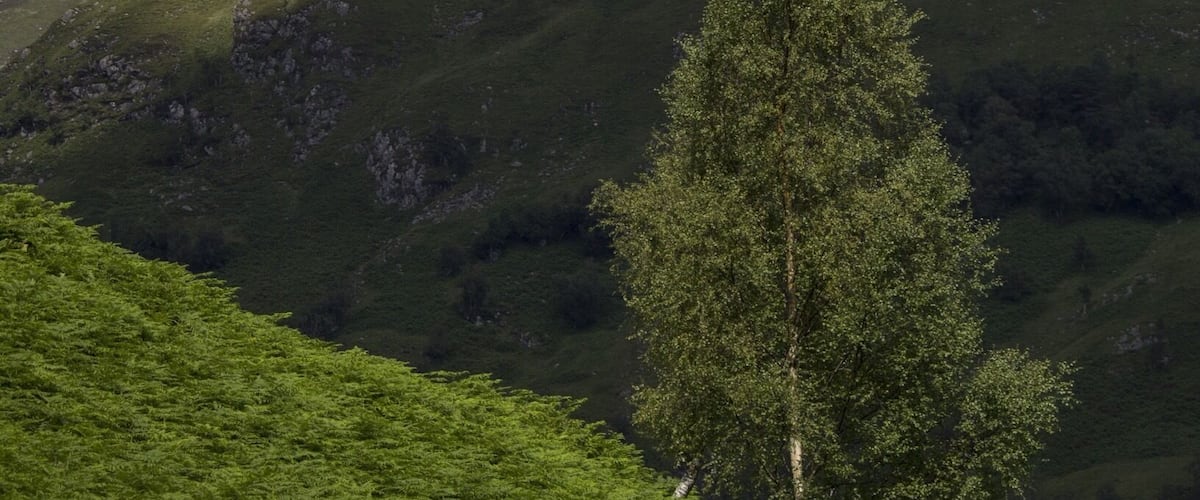 Some lovely walks on the 'west highland way' with stunning scenery