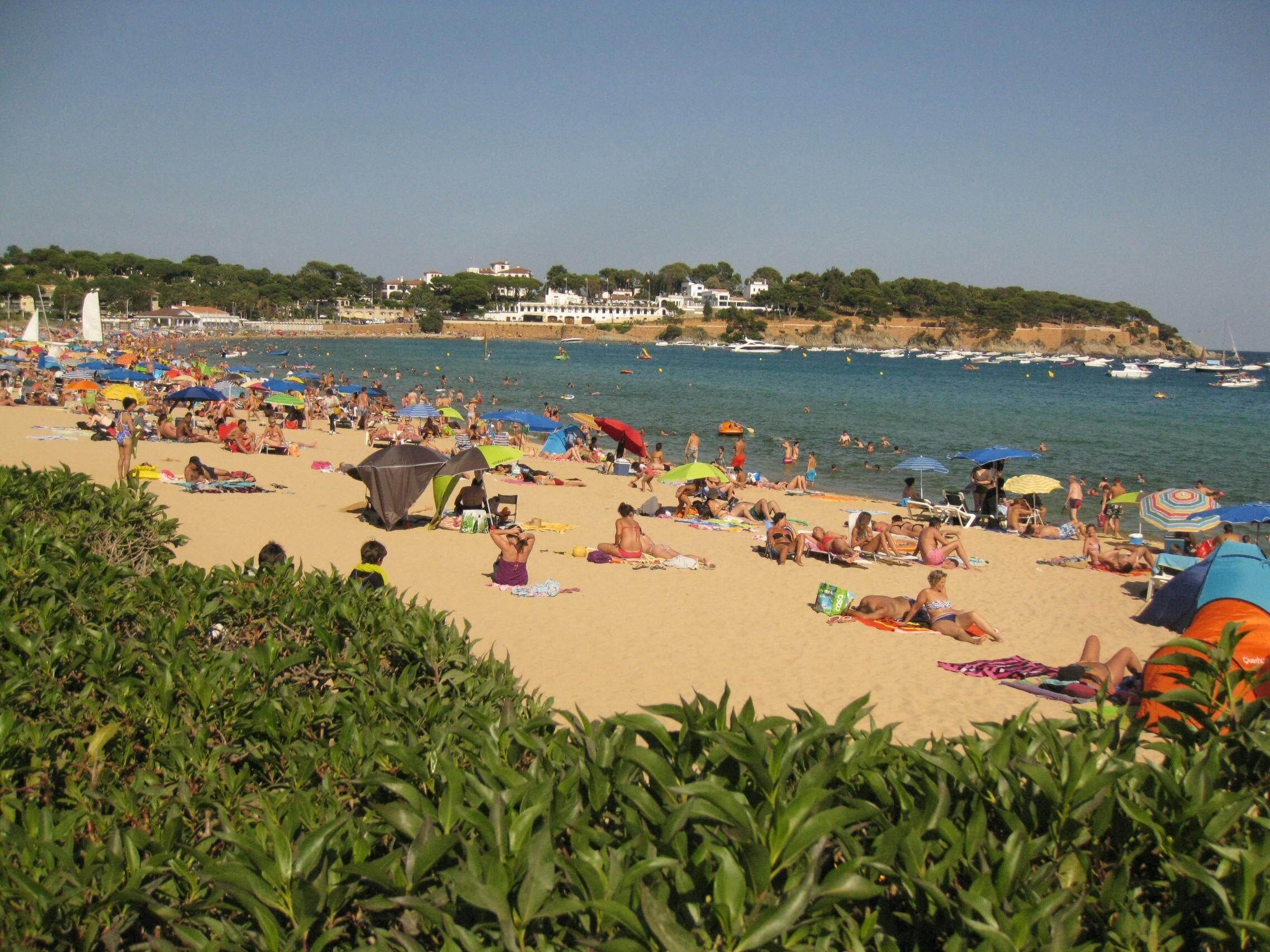 A crowded beach with people sunbathing and swimming, surrounded by lush greenery and a clear blue sky.