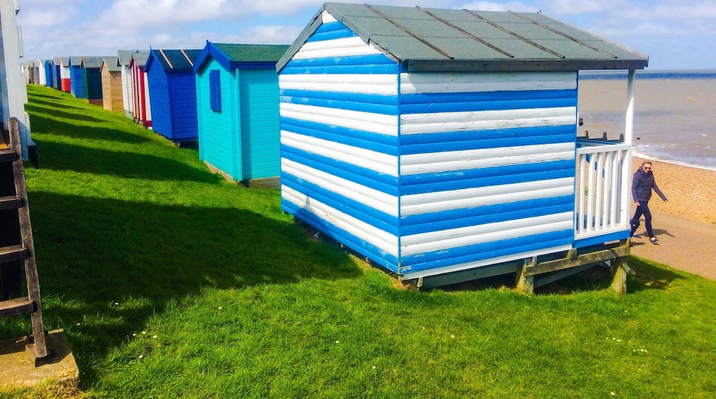 Little sea side houses