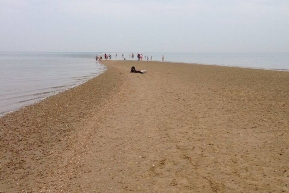 Una amplia playa de arena con algunas personas y un perro a lo lejos.