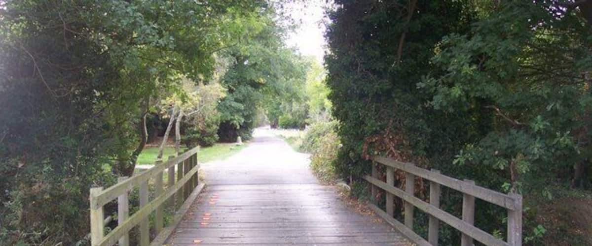 A wooden bridge over a paved path surrounded by trees.