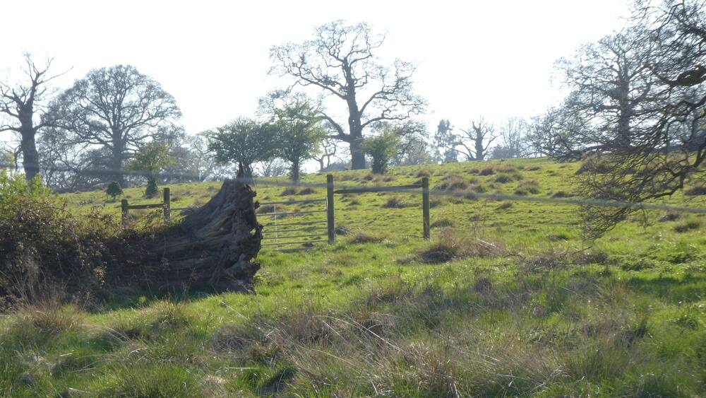 A grassy field with a wooden fence and a large fallen tree trunk.