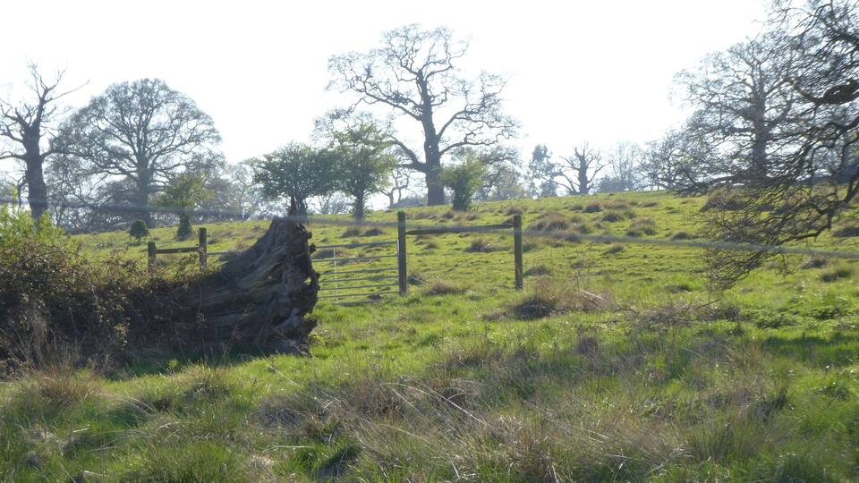 A grassy field with a wooden fence and a large fallen tree trunk.