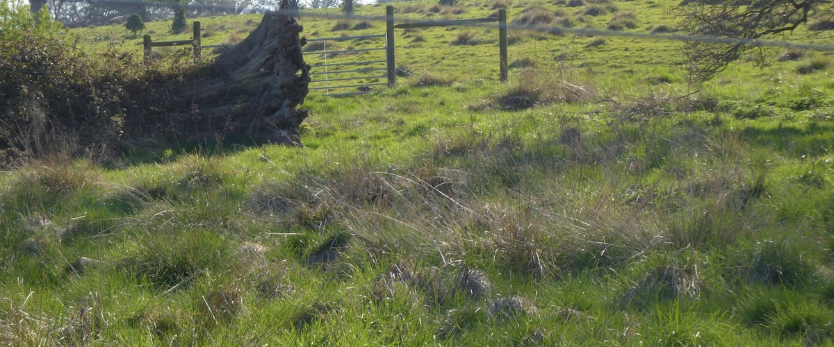 A grassy field with a wooden fence and a large fallen tree trunk.