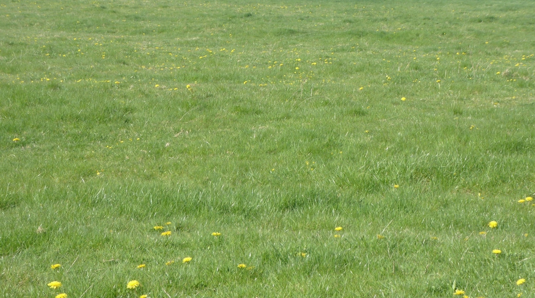 Plumpton Pasture is a biological Site of Special Scientific Interest west of Towcester in Northamptonshire.