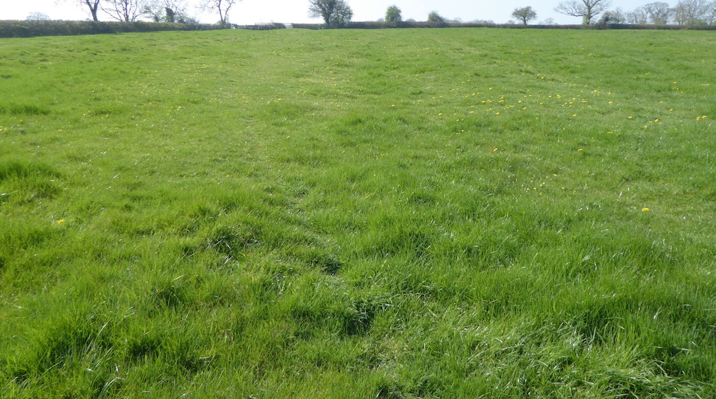Plumpton Pasture is a biological Site of Special Scientific Interest west of Towcester in Northamptonshire.