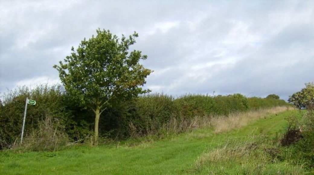 Footpath to Potterspury
