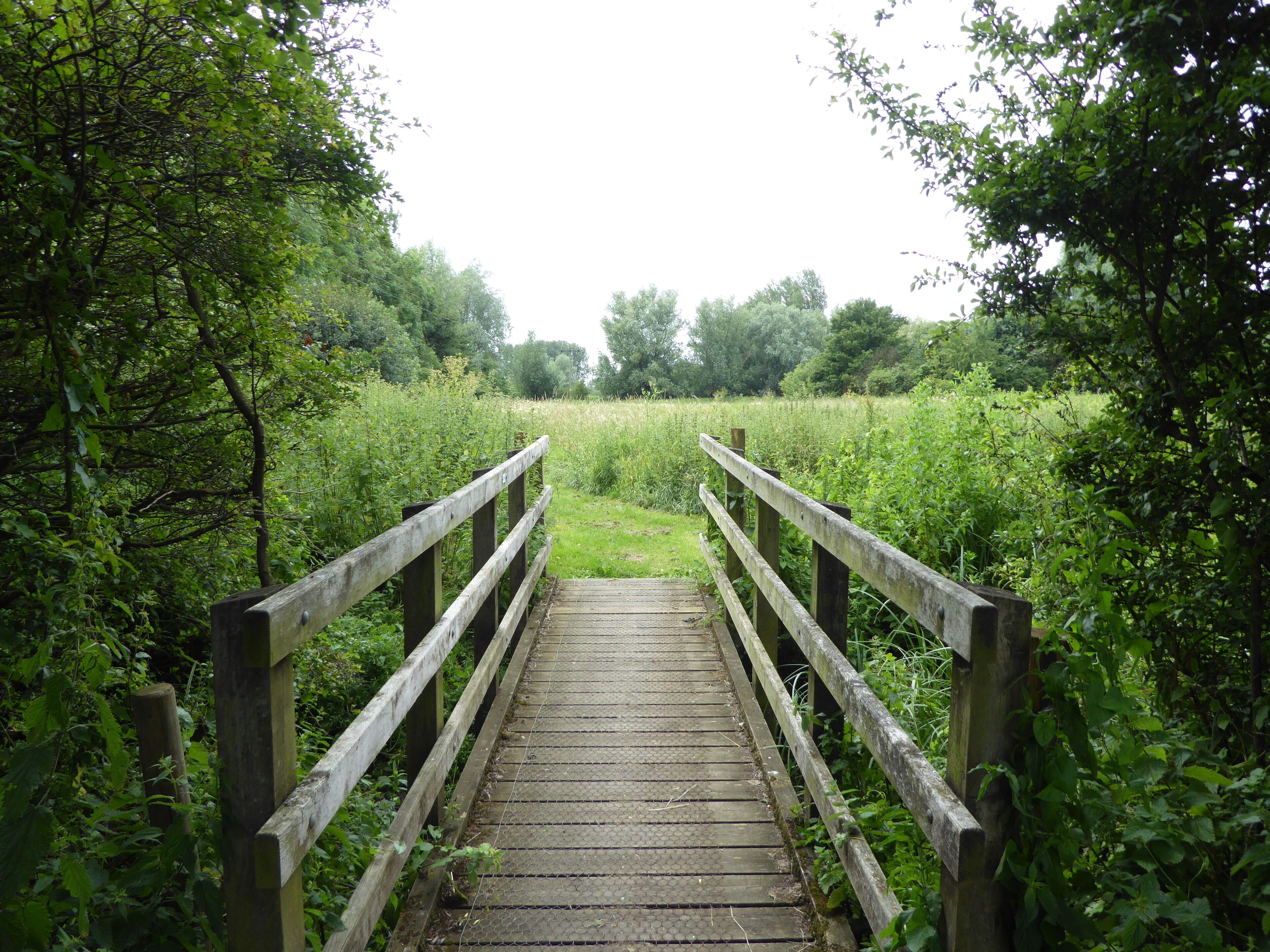 The Pennings is a Local Nature Reserve in Eye in Suffolk.