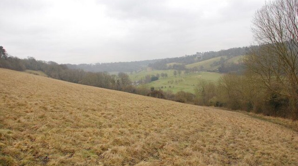Halliloo Valley. Looking from Butterfly Walk to Worms Heath in the far distance.