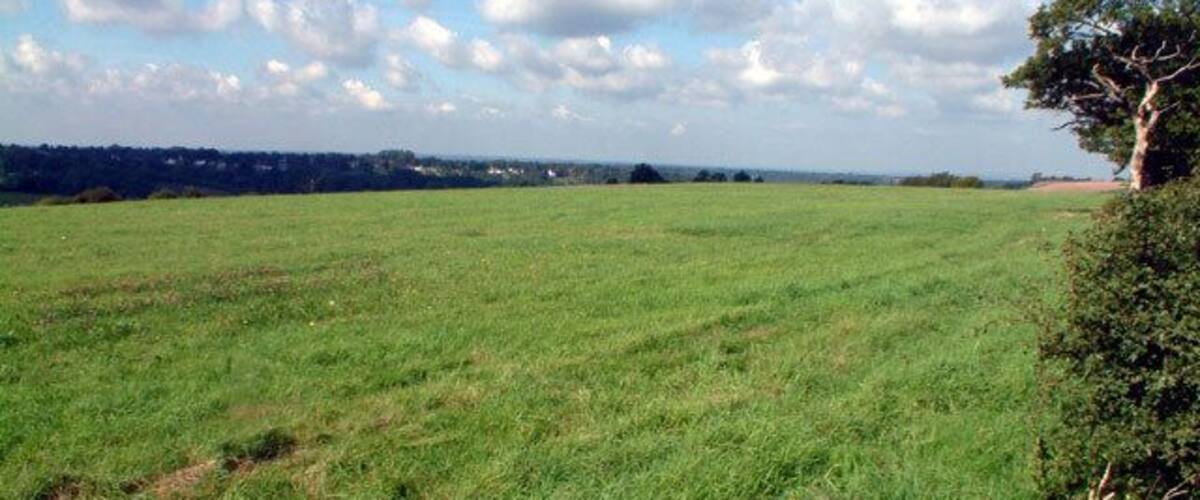Looking northwest from Croydon Road, CR6.