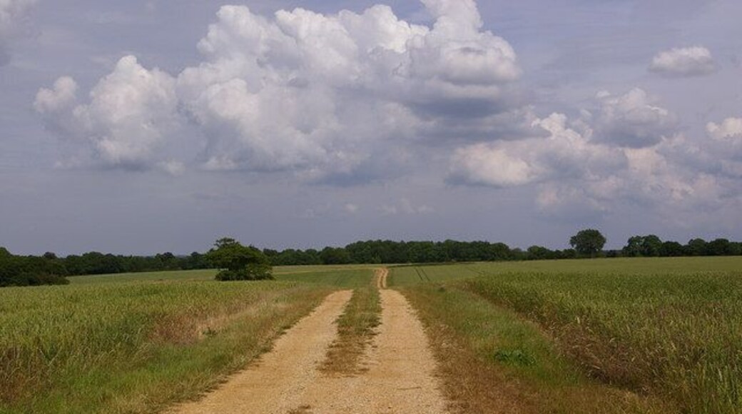 Footpath to Beddlestead Footpath leading from Croydon Road to Beddlestead Farm.