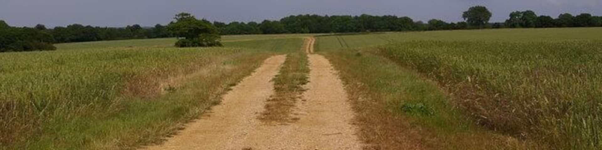 Footpath to Beddlestead Footpath leading from Croydon Road to Beddlestead Farm.