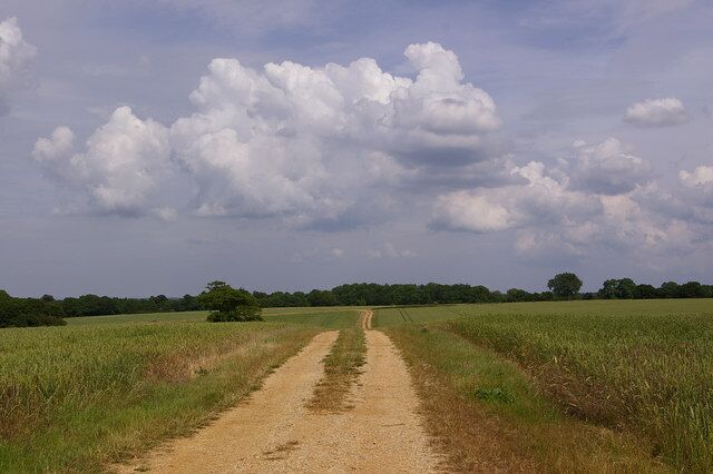 A dirt road leading through a field with a cloudy sky.