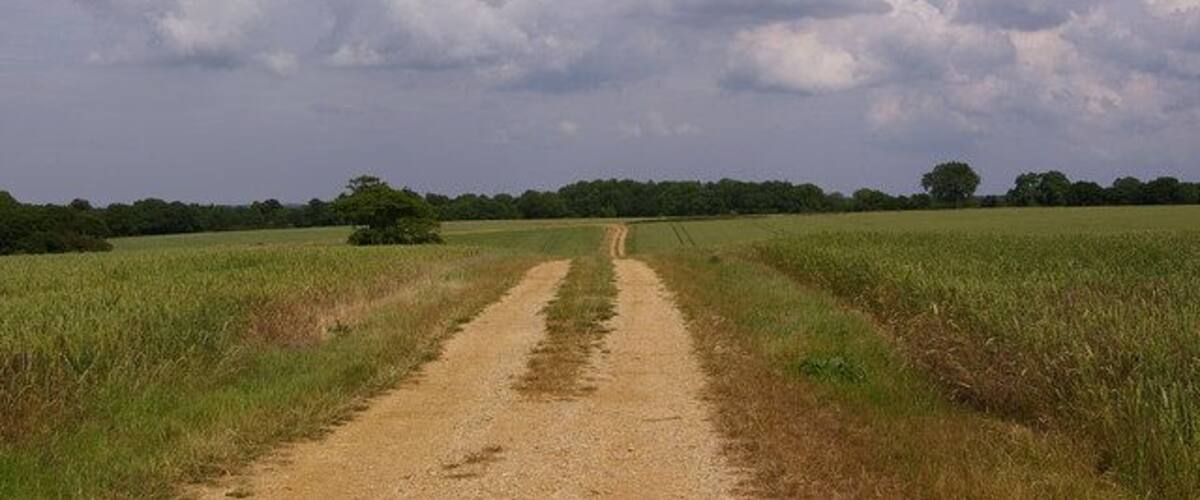 A dirt road leading through a field with a cloudy sky.