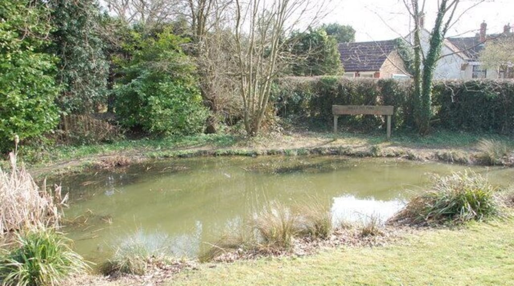 Willy Pit Pond Warlingham Warlingham has several ponds in the surrounding area they were used as cattle watering holes in the past.