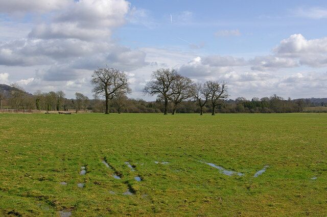 Field off Rectory Lane On the left is the Guildford - Redhill railway.