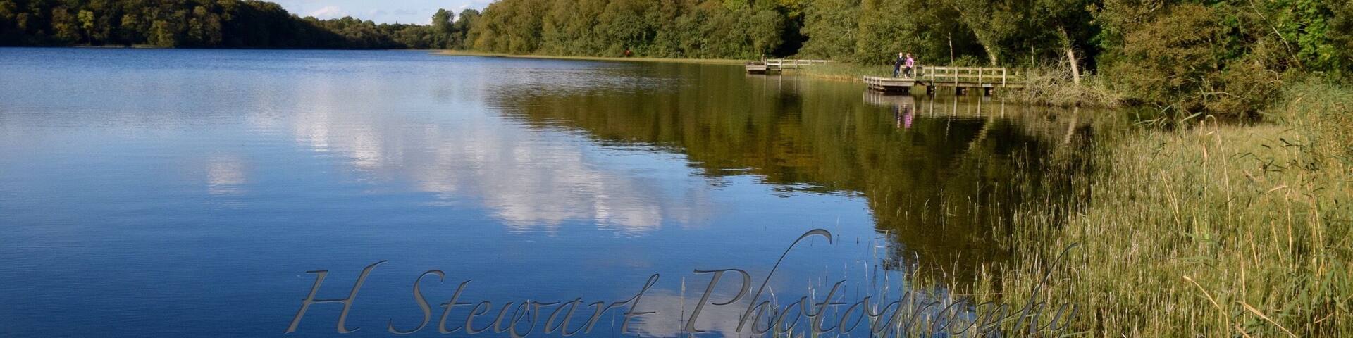 A beautiful lake for a walk around to watch fishermen, herons and swans. A little gem in Northern Ireland