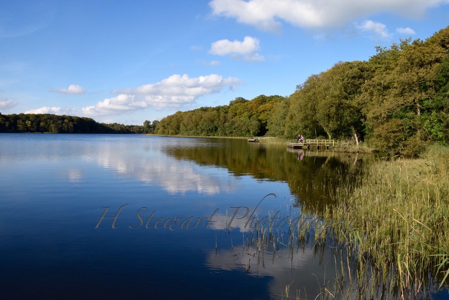 A beautiful lake for a walk around to watch fishermen, herons and swans.  A little gem in Northern Ireland