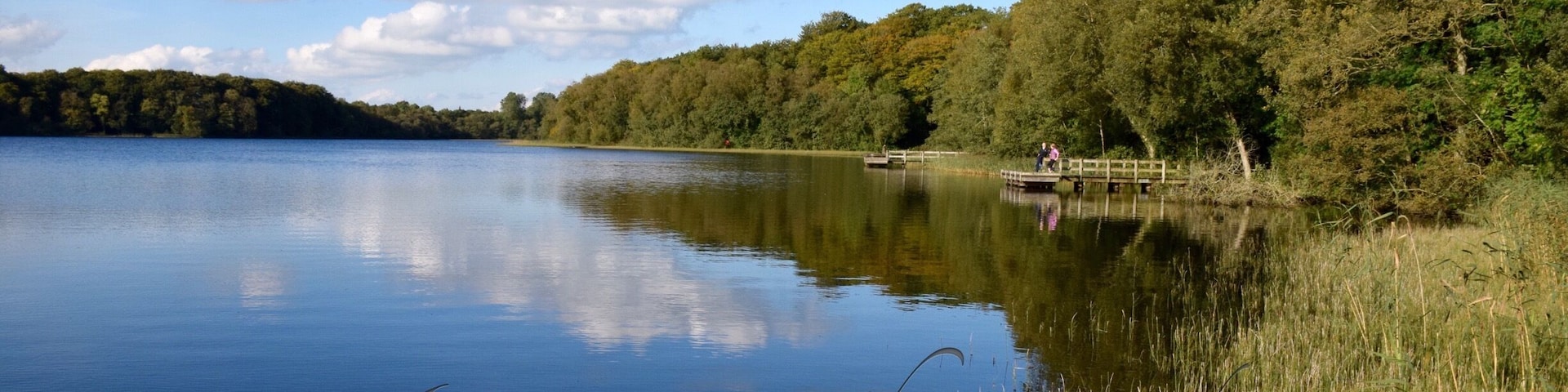 A beautiful lake for a walk around to watch fishermen, herons and swans. A little gem in Northern Ireland
