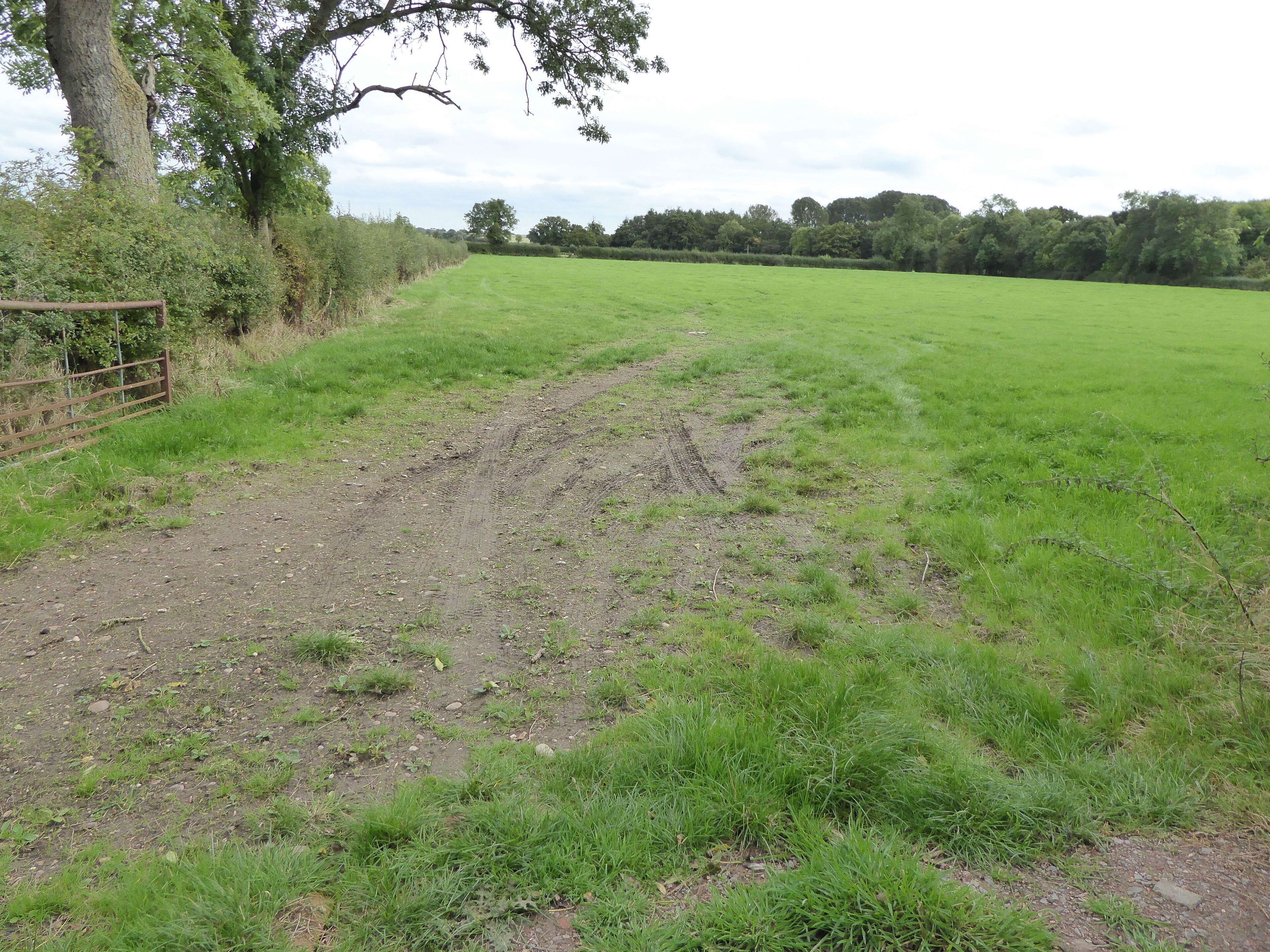 Sheepy Fields is a Site of Special Scientific Interest north of Sheepy Parva in Leicestershire.