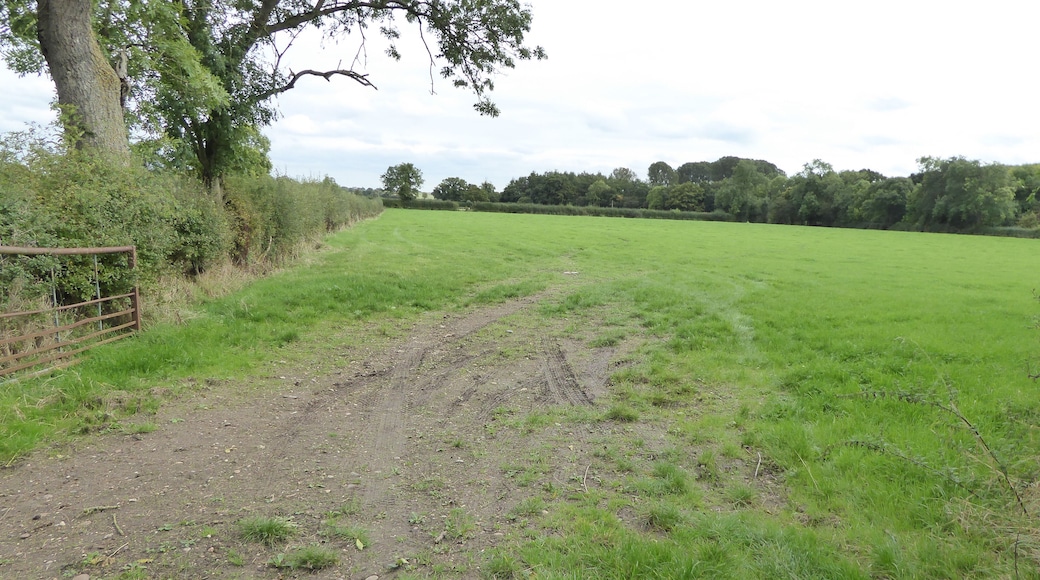 Sheepy Fields is a Site of Special Scientific Interest north of Sheepy Parva in Leicestershire.