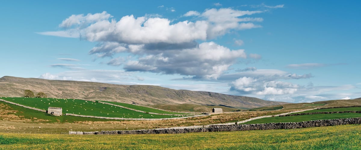 A rural landscape with rolling hills, stone walls, and a clear blue sky.