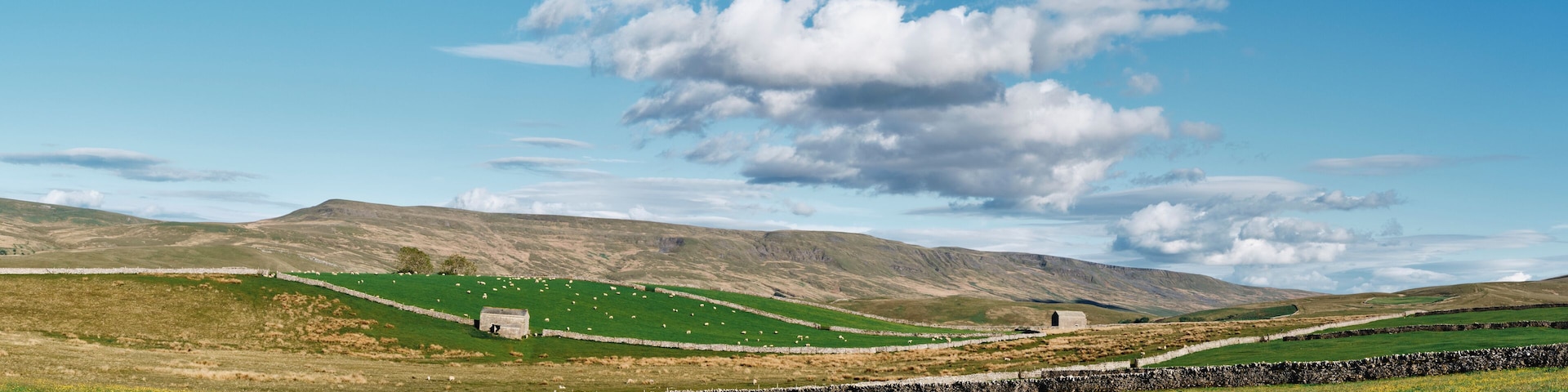 A rural landscape with rolling hills, stone walls, and a clear blue sky.