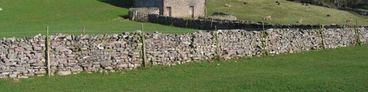 Barn and grazing land