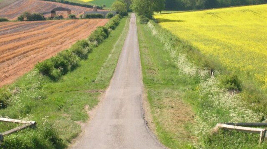 Green Lane, Weaverthorpe