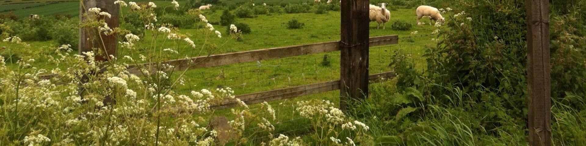 On the way to Malton