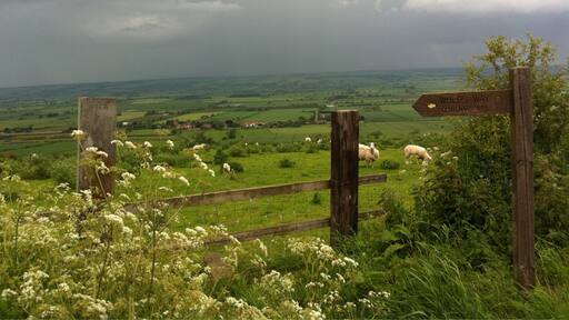 On the way to Malton