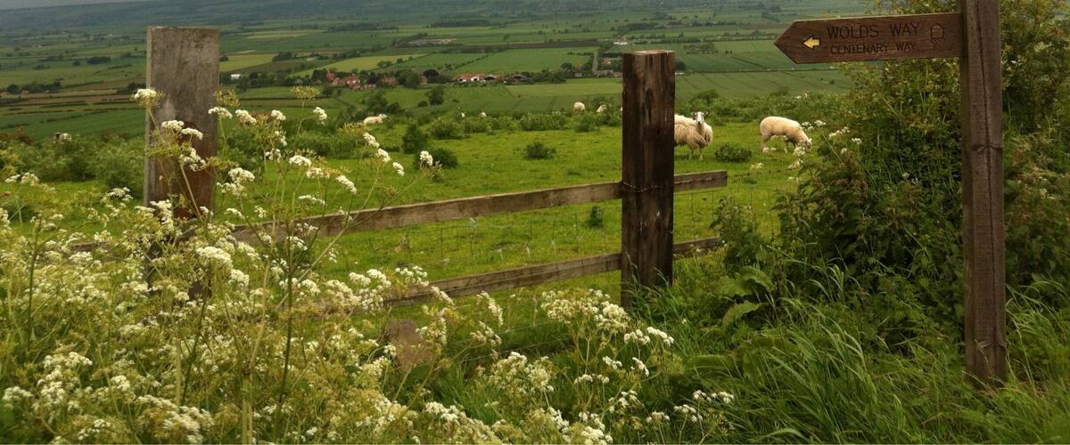 A rural landscape with a wooden signpost indicating directions to Wolds Way and Centenary Way.