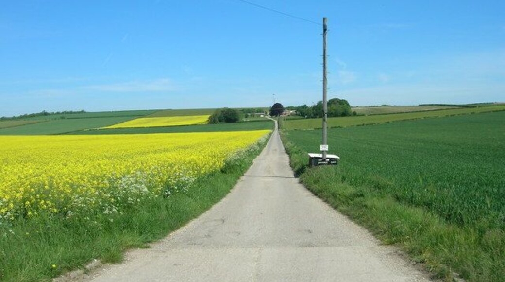 Track to Dotterel Cottage Farm