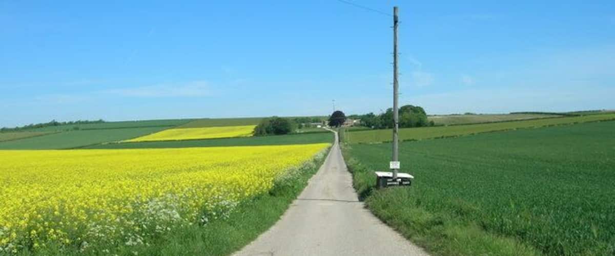 Track to Dotterel Cottage Farm