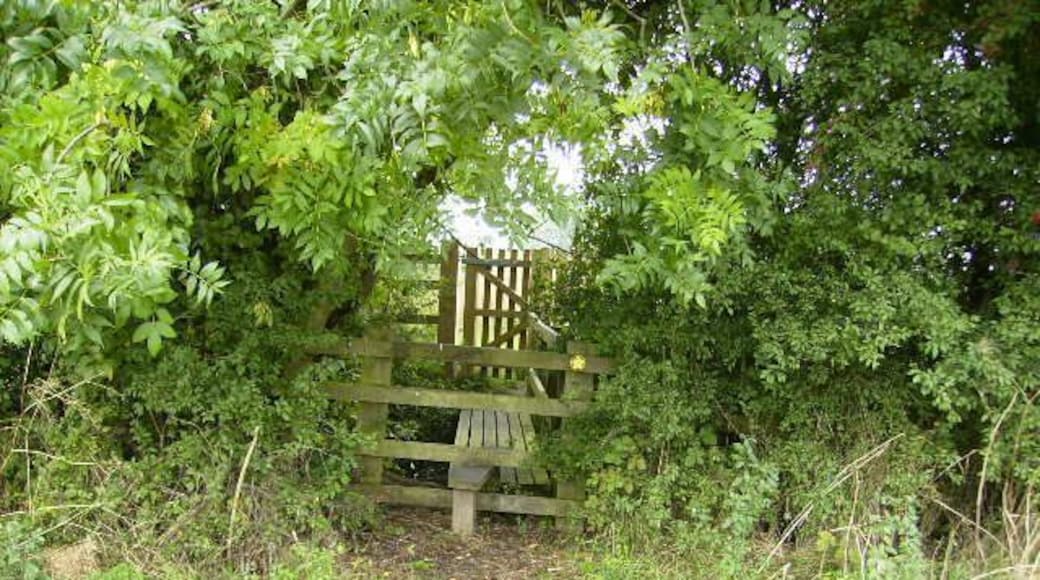 Gated & stiled footbridge near Flamingo Land.