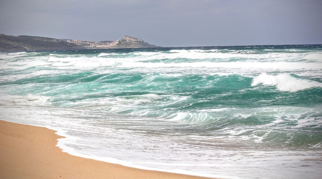 Just beautiful to watch the wild sea, if there is maestrale wind with more than 30 kts. #waterlust