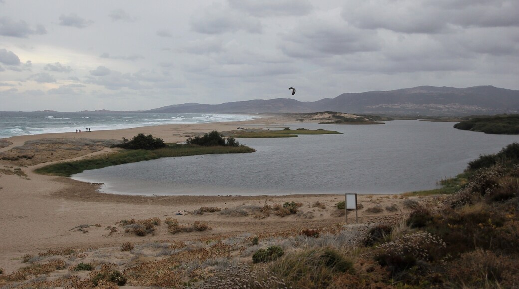 Badesi-Valledoria, foce del Coghinas