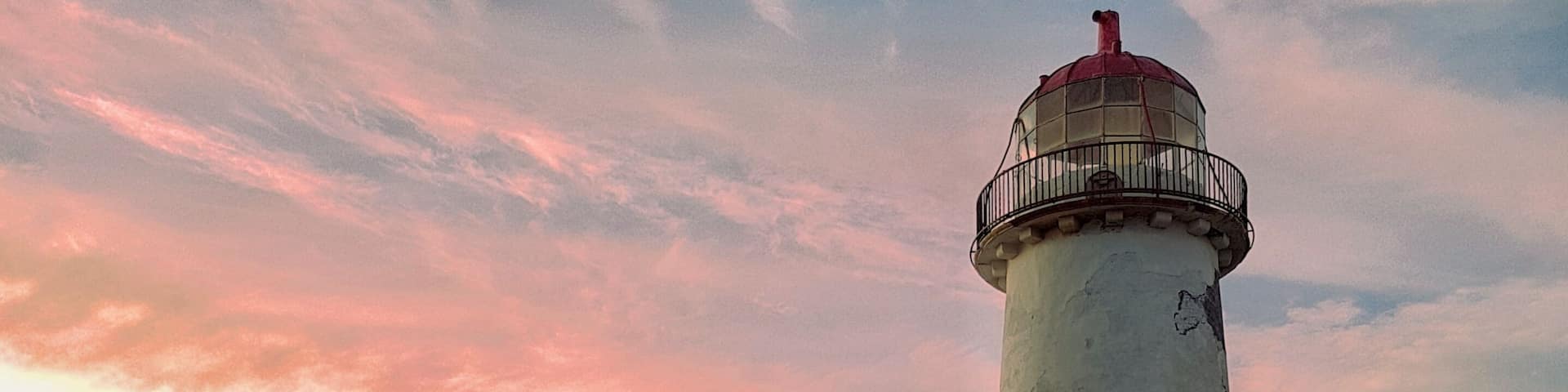 Getting lucky with the light. #Golden